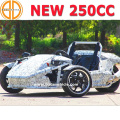 Bode Quanlity sicher neue EEC 250cc Ztr Trike Roadster zu verkaufen